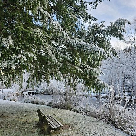 Ferienwohnung Tannenballett Im Schwarzwald Baiersbronn Extérieur photo