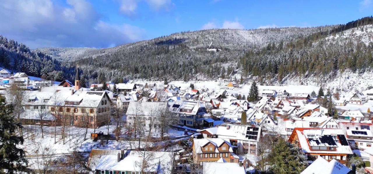 Ferienwohnung Tannenballett Im Schwarzwald Baiersbronn Extérieur photo