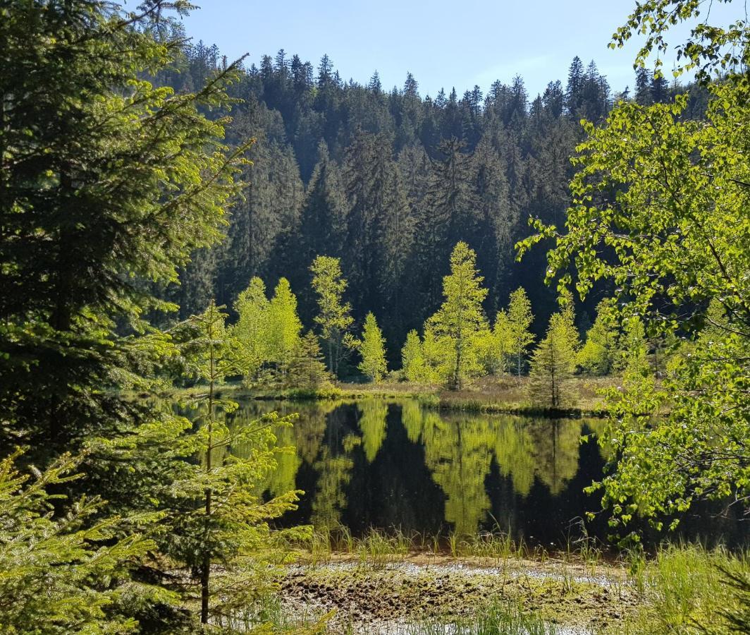 Ferienwohnung Tannenballett Im Schwarzwald Baiersbronn Extérieur photo