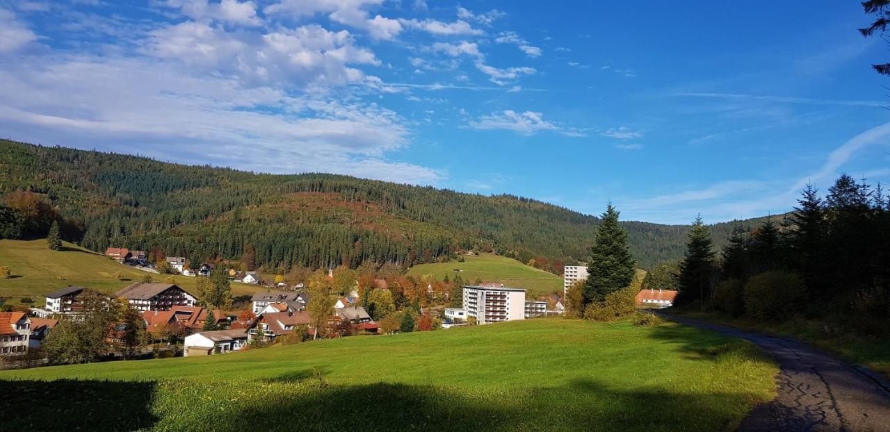 Ferienwohnung Tannenballett Im Schwarzwald Baiersbronn Extérieur photo