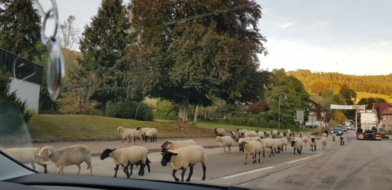 Ferienwohnung Tannenballett Im Schwarzwald Baiersbronn Extérieur photo