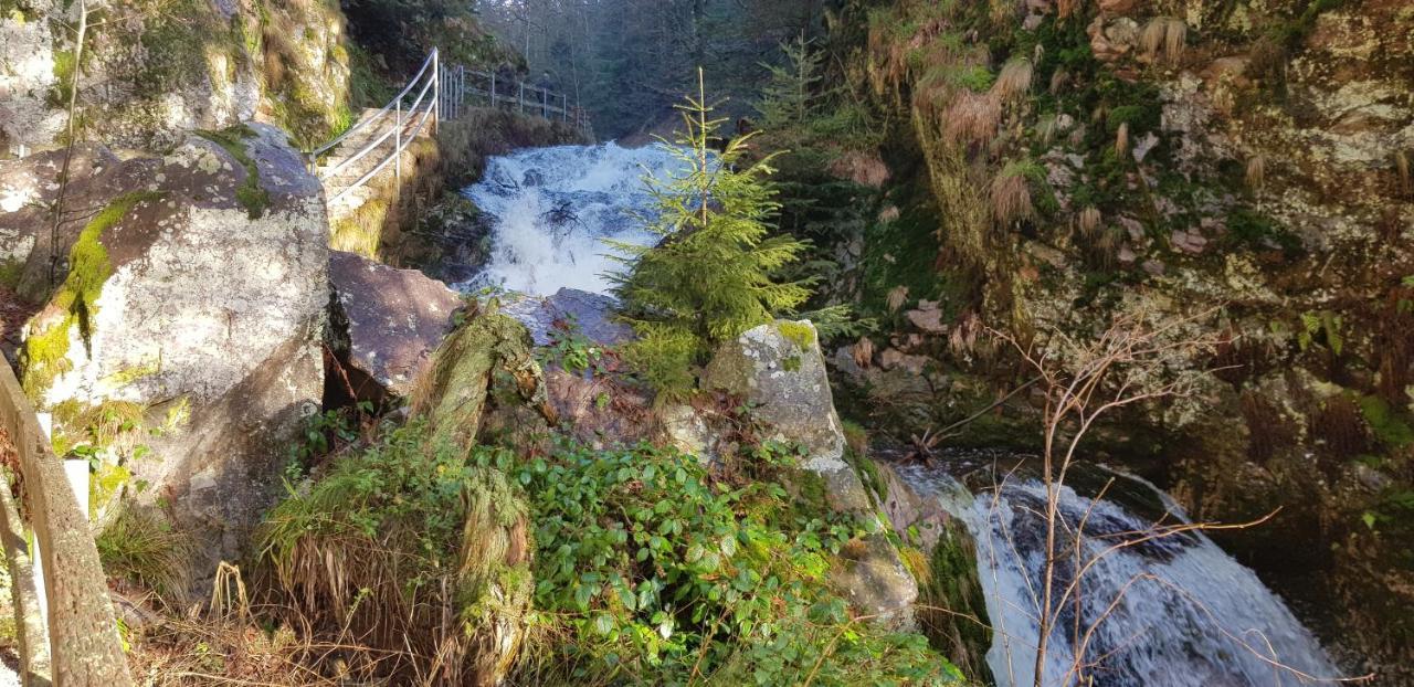 Ferienwohnung Tannenballett Im Schwarzwald Baiersbronn Extérieur photo