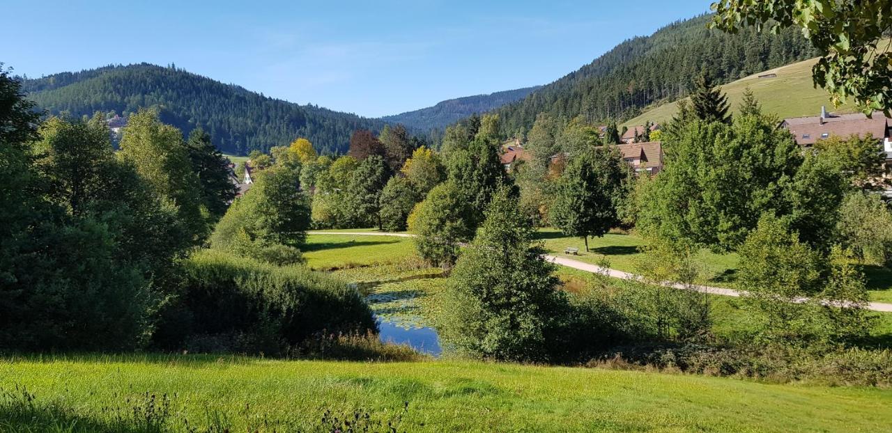 Ferienwohnung Tannenballett Im Schwarzwald Baiersbronn Extérieur photo