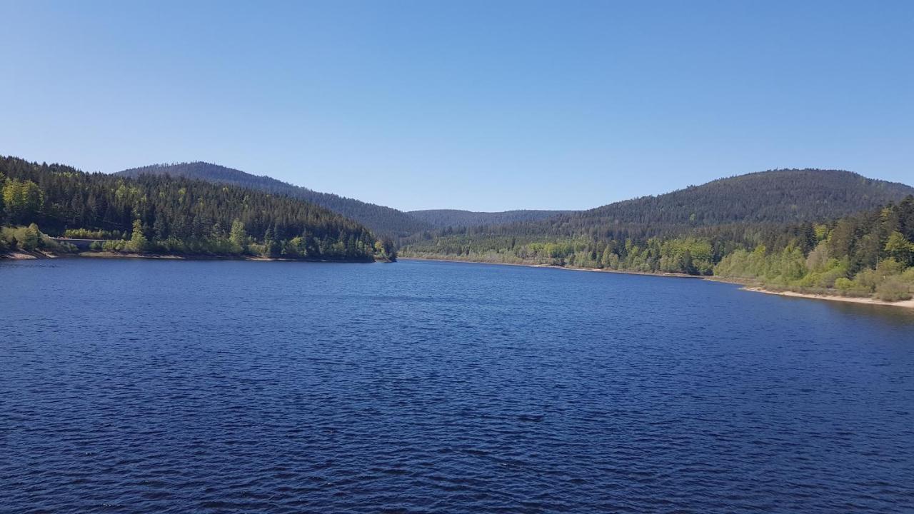 Ferienwohnung Tannenballett Im Schwarzwald Baiersbronn Extérieur photo