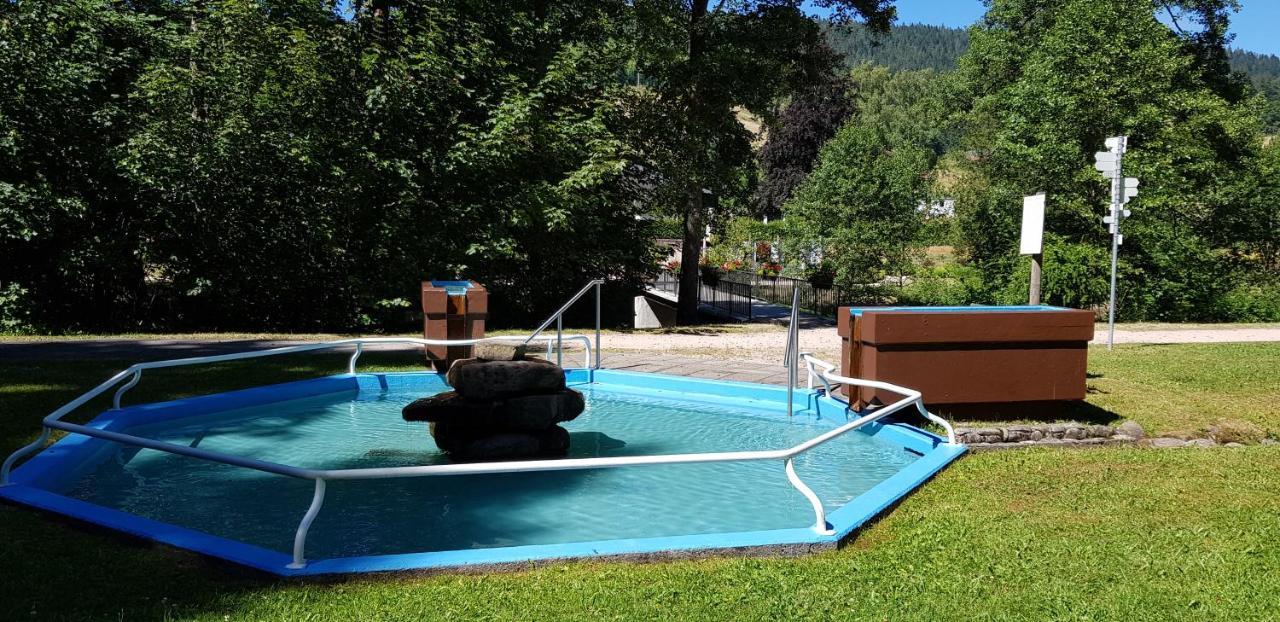 Ferienwohnung Tannenballett Im Schwarzwald Baiersbronn Extérieur photo