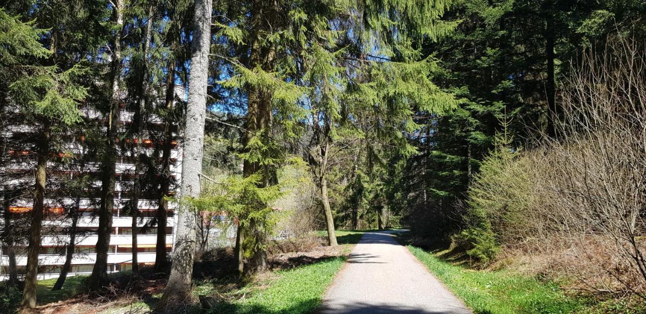 Ferienwohnung Tannenballett Im Schwarzwald Baiersbronn Extérieur photo