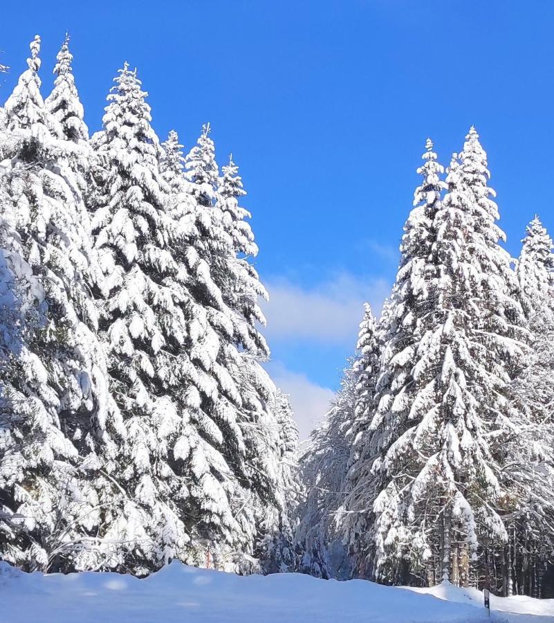 Ferienwohnung Tannenballett Im Schwarzwald Baiersbronn Extérieur photo