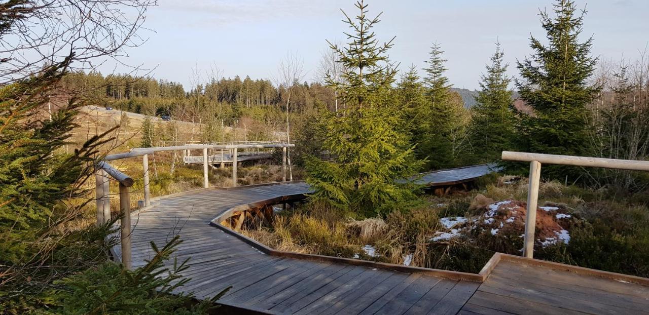 Ferienwohnung Tannenballett Im Schwarzwald Baiersbronn Extérieur photo