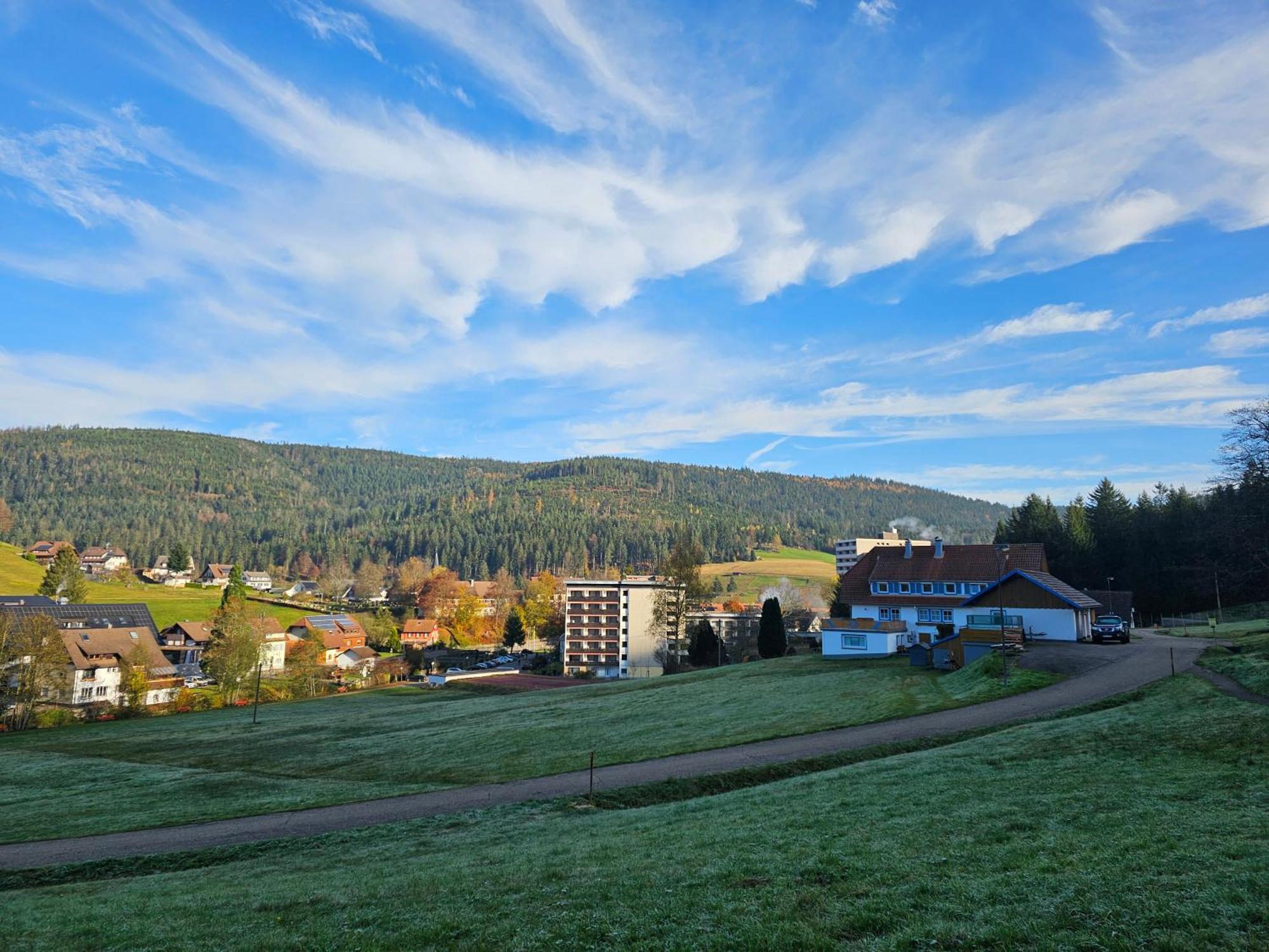 Ferienwohnung Tannenballett Im Schwarzwald Baiersbronn Extérieur photo