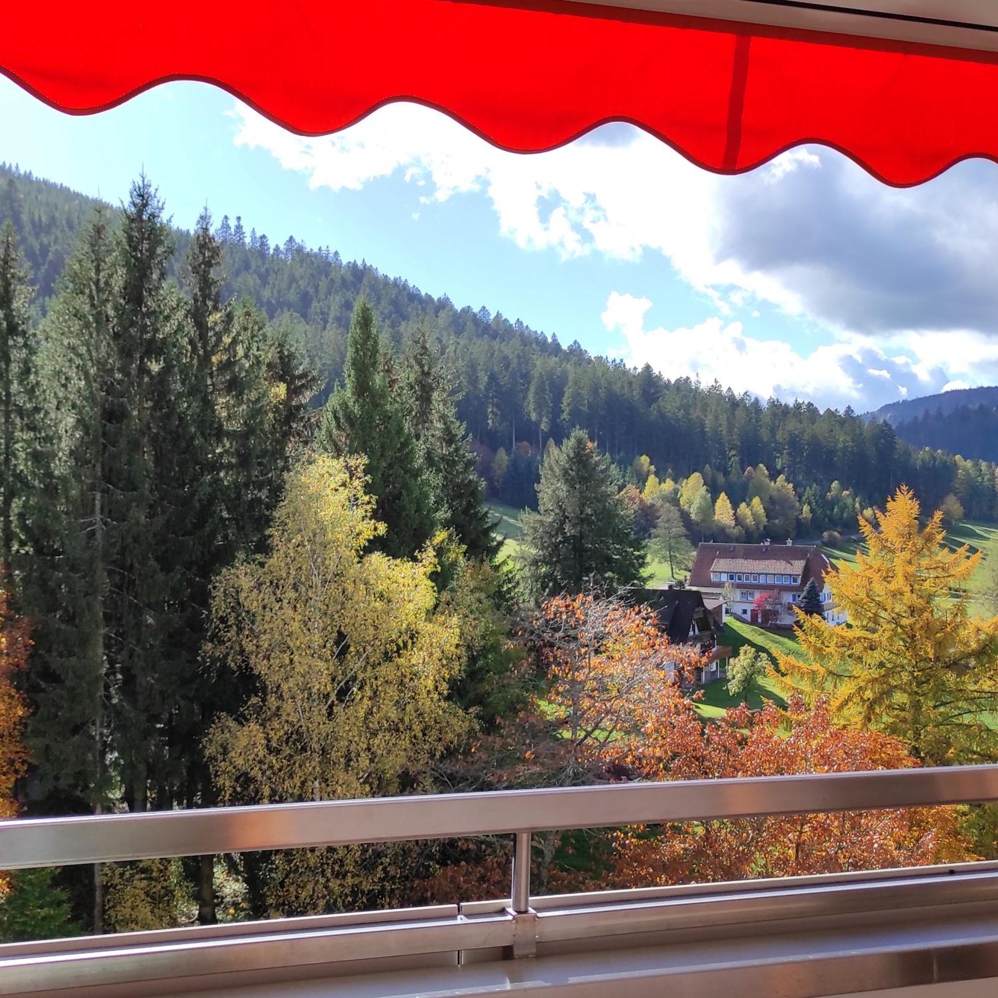 Ferienwohnung Tannenballett Im Schwarzwald Baiersbronn Extérieur photo
