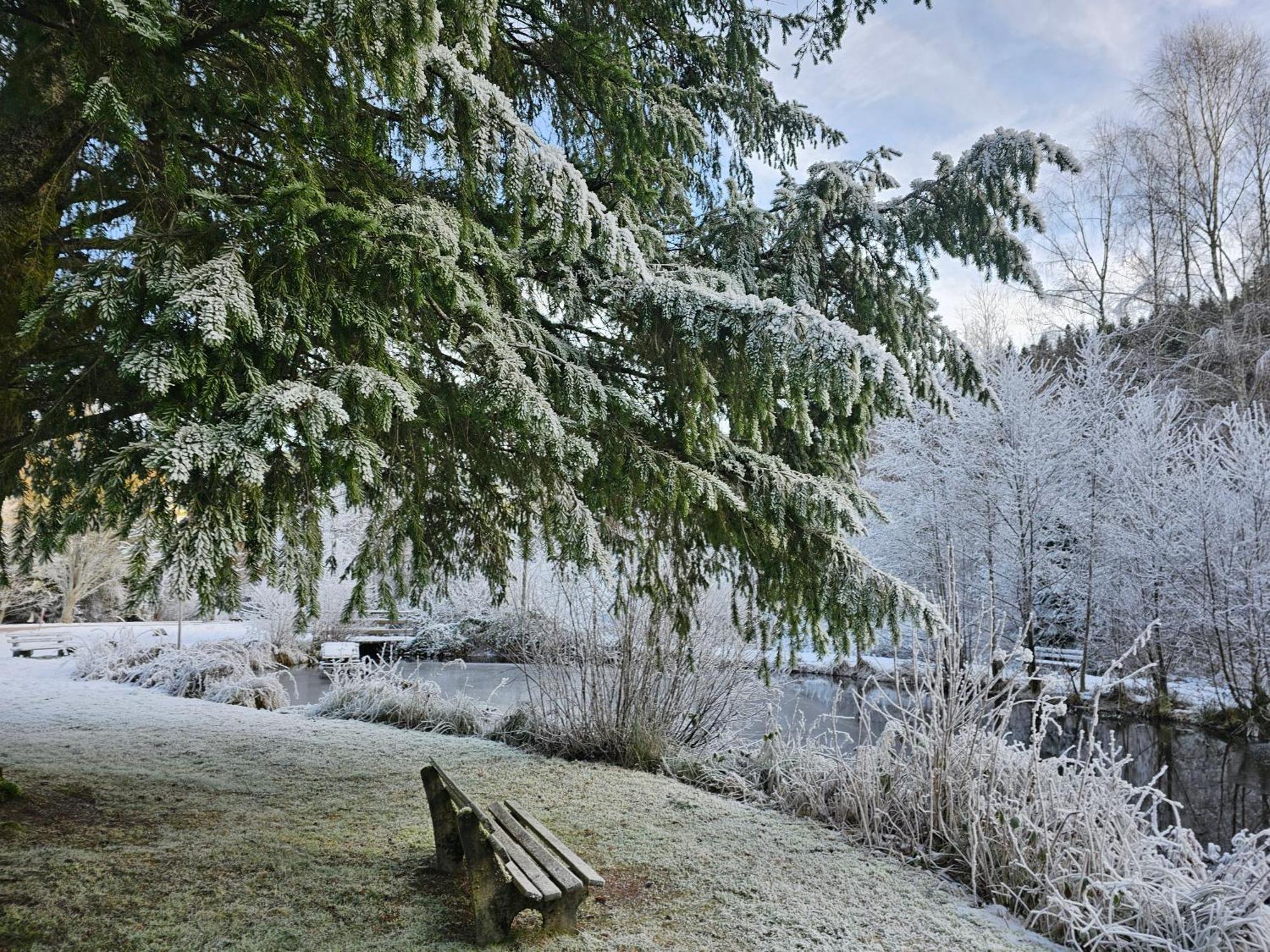 Ferienwohnung Tannenballett Im Schwarzwald Baiersbronn Extérieur photo